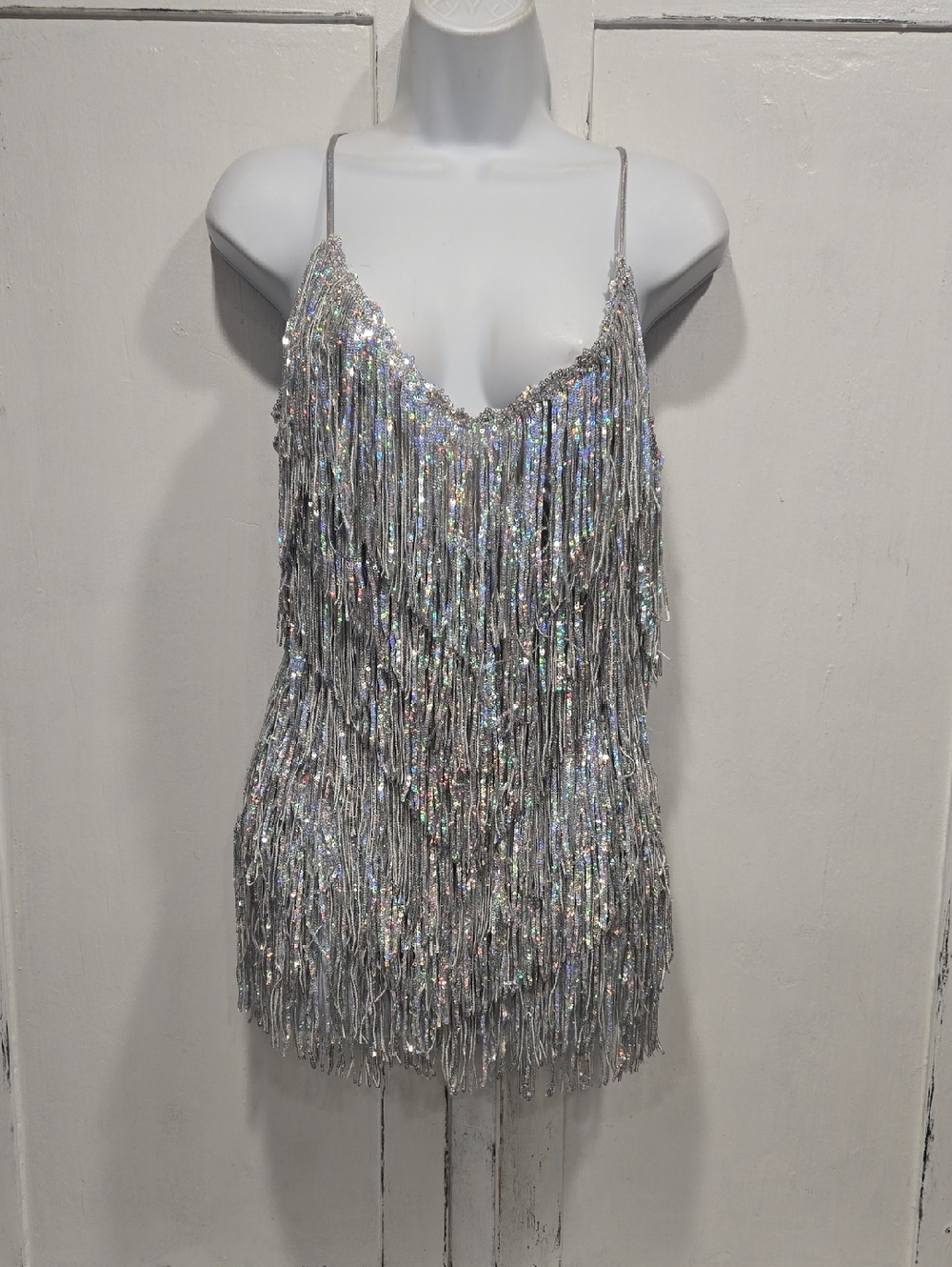 Bear Dance Silver Sequin Fringe Mini Dress